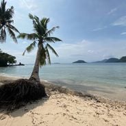 スマトラ島の自然遺産と記念碑