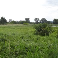Naturschutzgebiet Klosterwiesen von Rockenberg