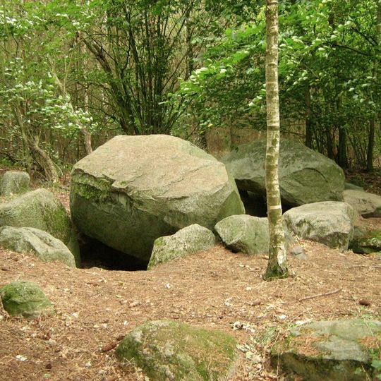 Großsteingrab Liepen 8