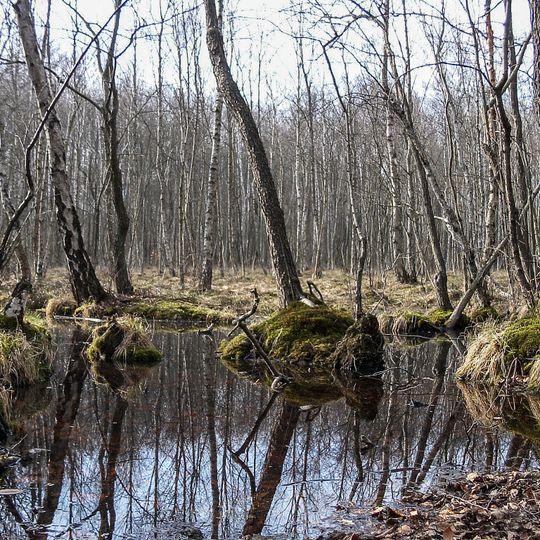 Reserva de la biosfera de Schorfheide-Chorin