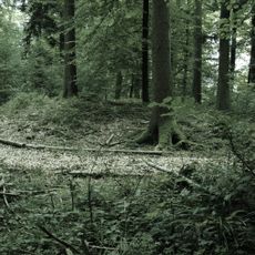 Bärhau, iron age tumulus group