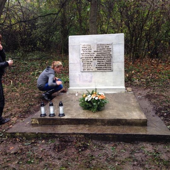 Jewish cemetery in Wąwolnica
