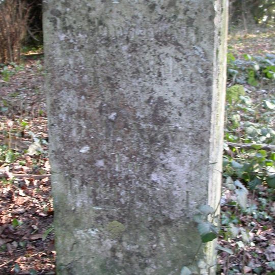 Milestone At Ngr St 7970 8257