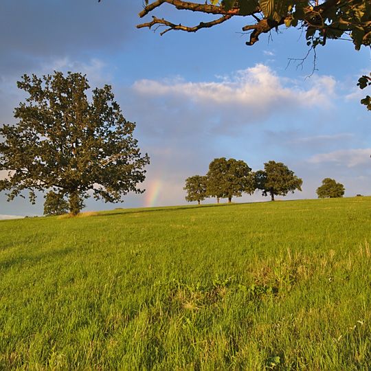 Dolnoněmčanské louky