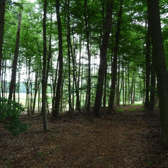 Waldgebiete bei Schlochtern