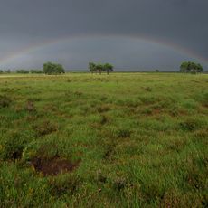 Moor- und Heidegebiete im Truppenübungsplatz Munster-Süd
