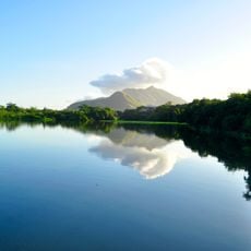 Parque Natural Municipal Chico Mendes