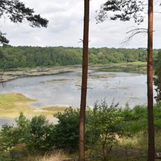 Gehspitzweiher bei Neu-Isenburg