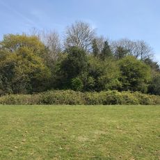 Twmpath Motte