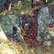 Dolmens de la Cabre d'Or