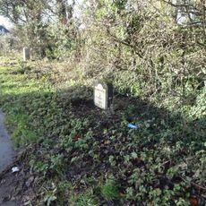 Milestone At Ngr Sp 010 010