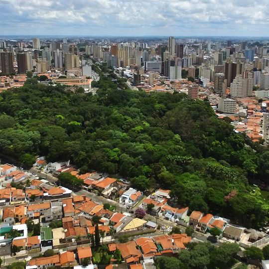 Bosque dos Jequitibás