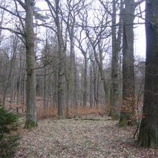 Prinzessingarten (Jesberg)