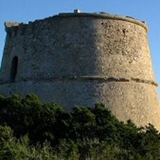 Torre des Pi des Català