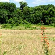 Tishomingo National Wildlife Refuge
