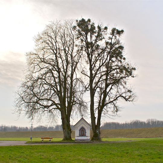 Kastanie und Linde bei der Grüner Kapelle