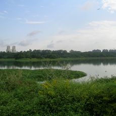 Hebbal lake