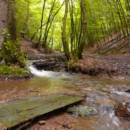 NSG Dhuenntal und Linnefetal mit Seitentaelern