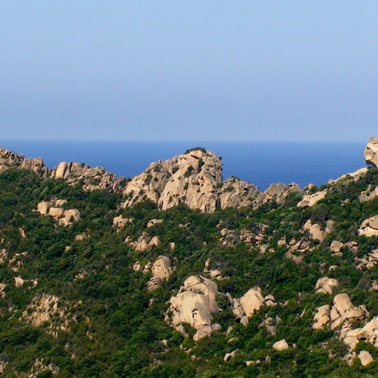 Roccapina Beach