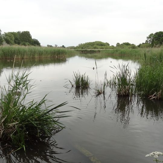 Ingrebourne Marshes