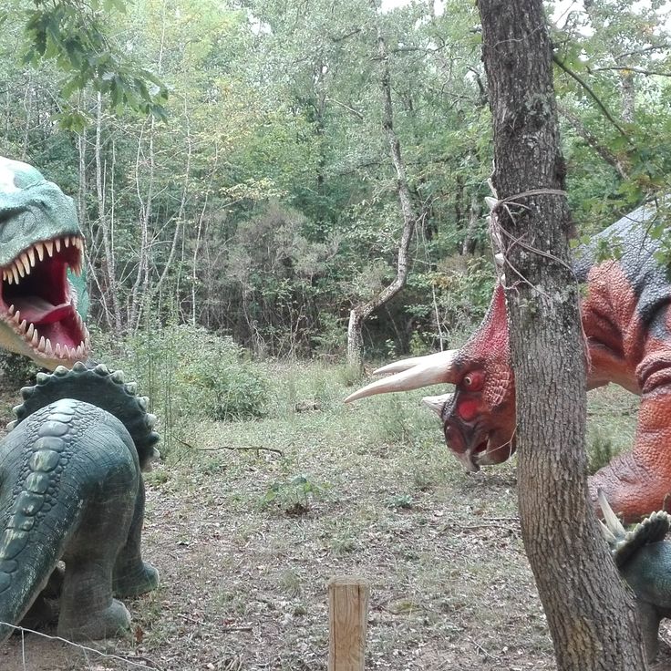 Animaparc Parc d'Attractions