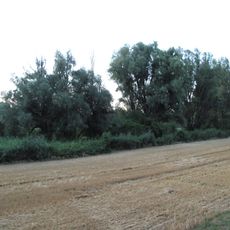 Oleksovická mokřina