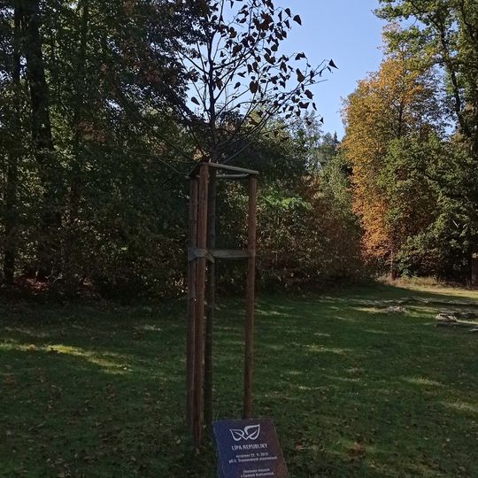 Tilia of the Republic