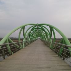 Pasarela del Bicentenario