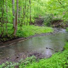 LSG-Werretal westlich Bad Meinberg