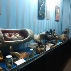 Museo Biológico