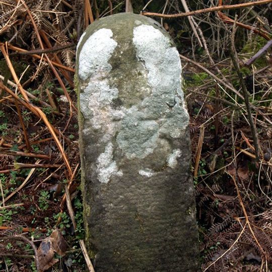 Milestone Approximately 25 Metres West Of Junction With Lane To North