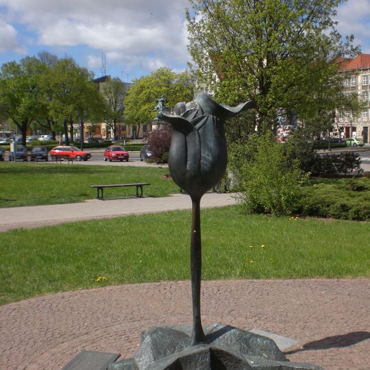 Kwiat życia i pokoju w Gdańsku