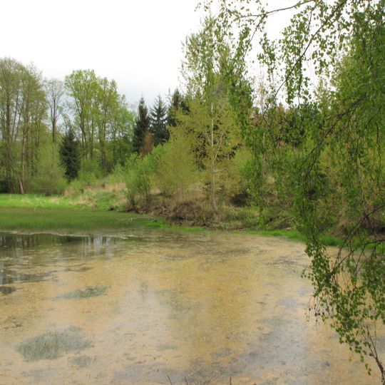 Částrovické rybníky