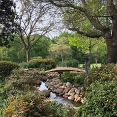 East Texas Arboretum and Botanical Society