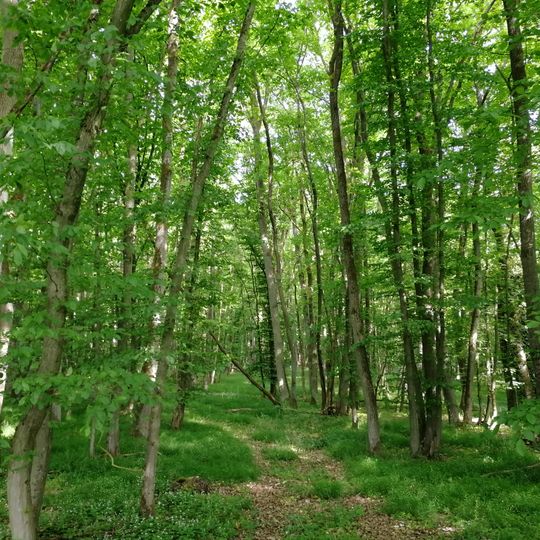 Lahnknie bei Michelbach