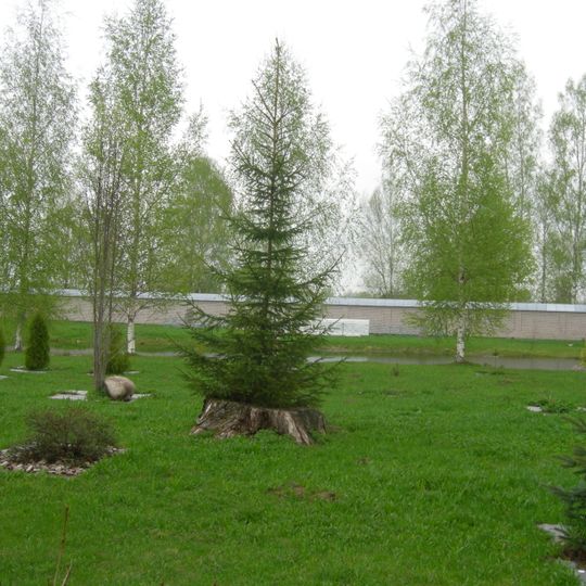 Сад регулярно-пейзажной планировки