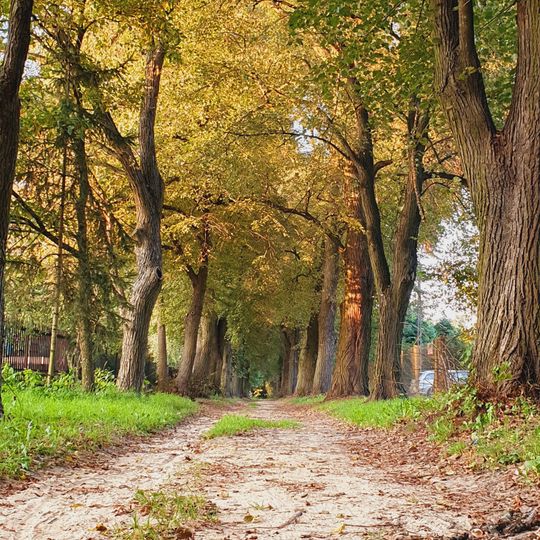 Park w Otrębusach-Karolinie