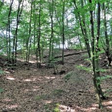 Wallburg Sieben Gräben