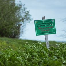 Muromsky gorodok