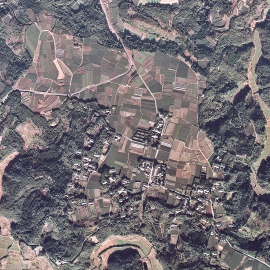 伊集院町恋之原