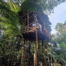 Apek Hill (Bukit Hartamas #1 trailhead)