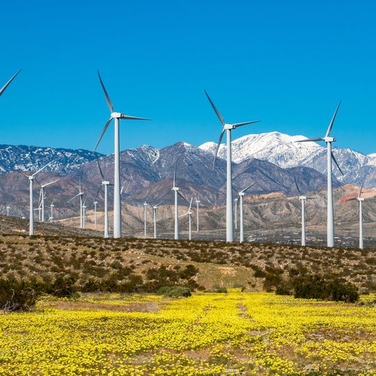 San Gorgonio Pass Wind Farm