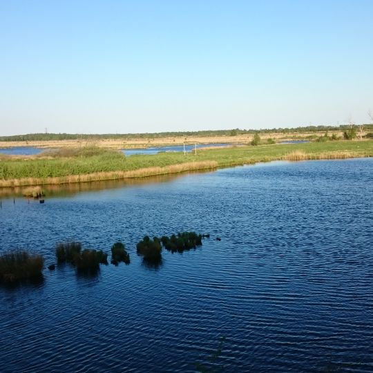 Bokelholmer Fischteiche