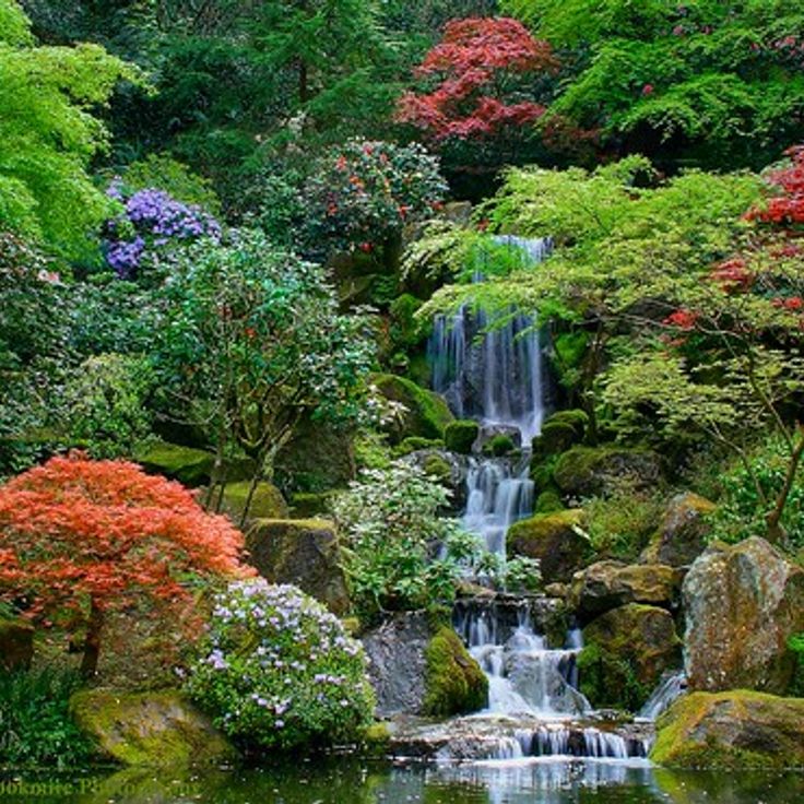 Betty N. Roberts Memorial Japanese Garden