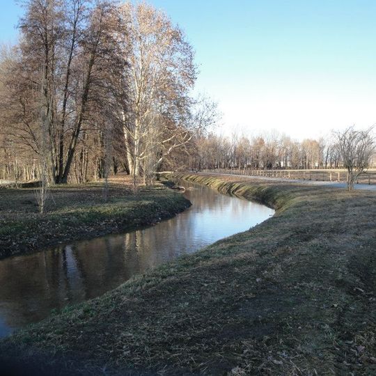 Riserva naturale Fontanile Brancaleone