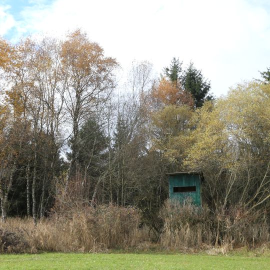 LSG Seehamer See mit Wattersdorfer Moor