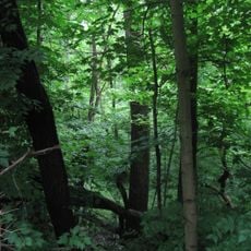 Union Township Works II