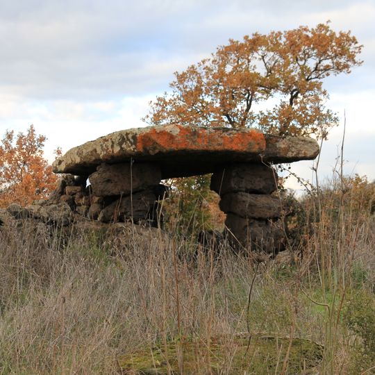 Dolmen di Su Crastu Covaccadu