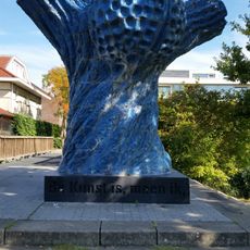 Boom van Hippocrates