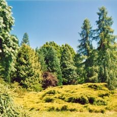 Arboretum national des Barres